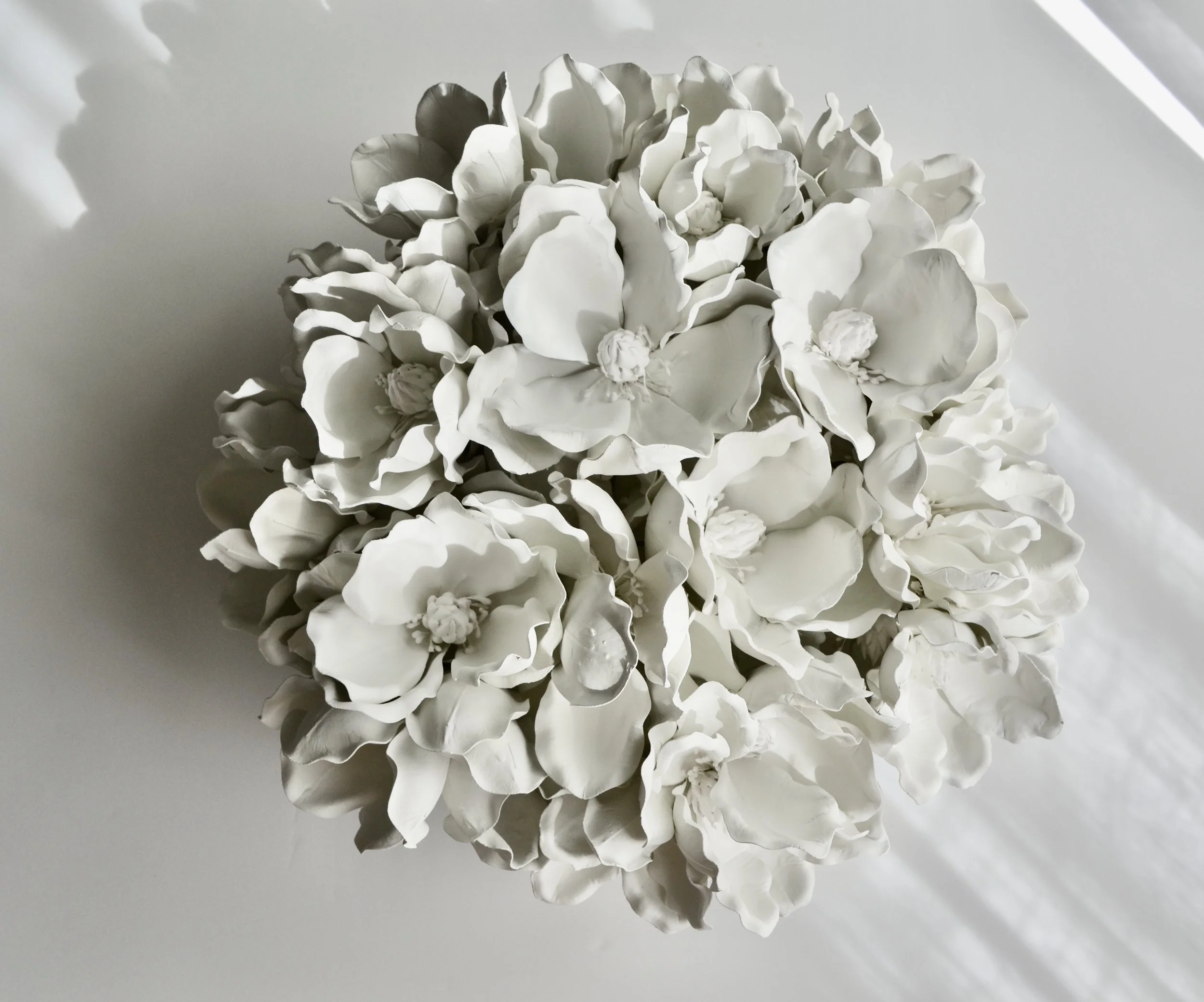 Magnolia_Blooms_White.JPG