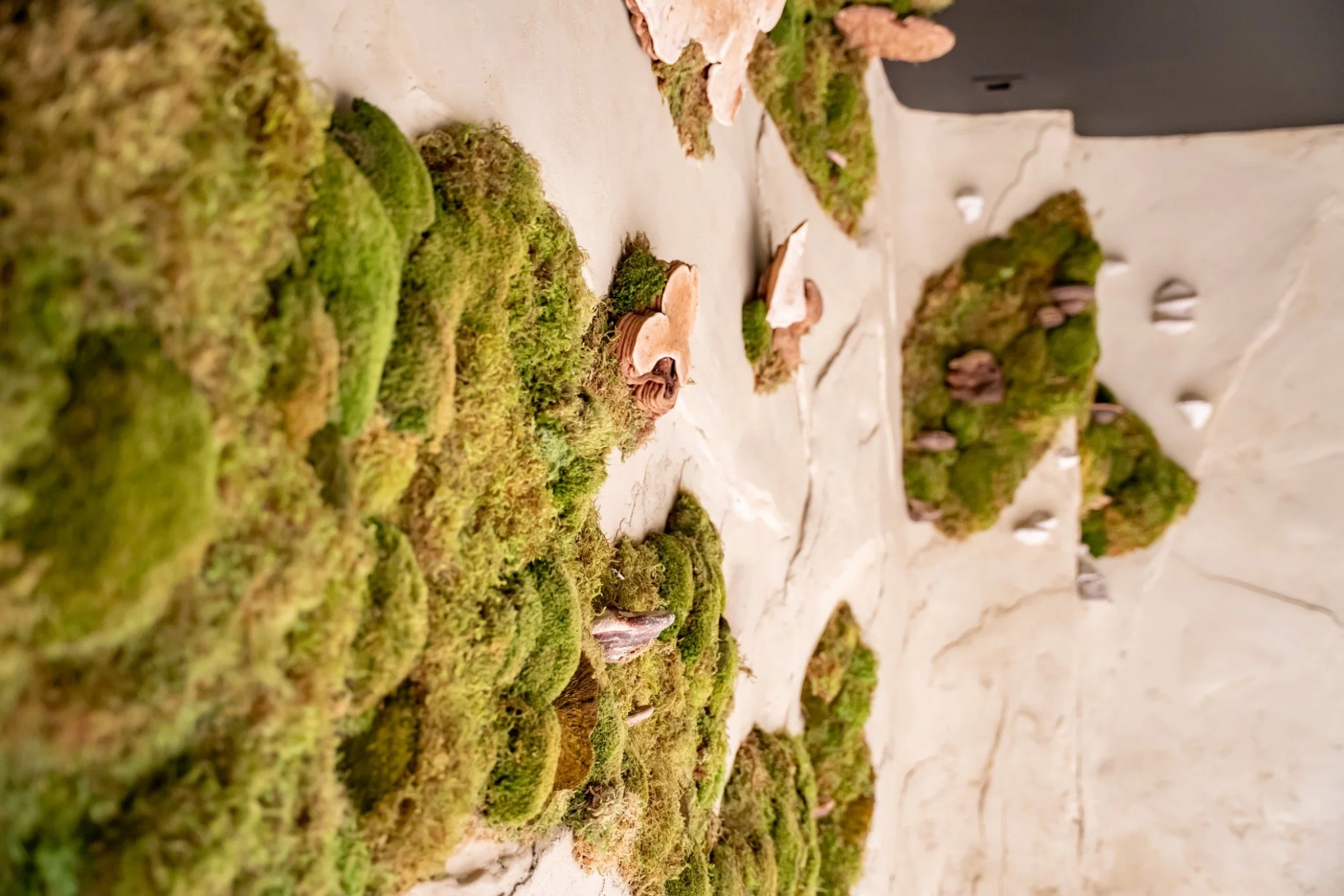 quantumwellnessspa-earth room.jpeg