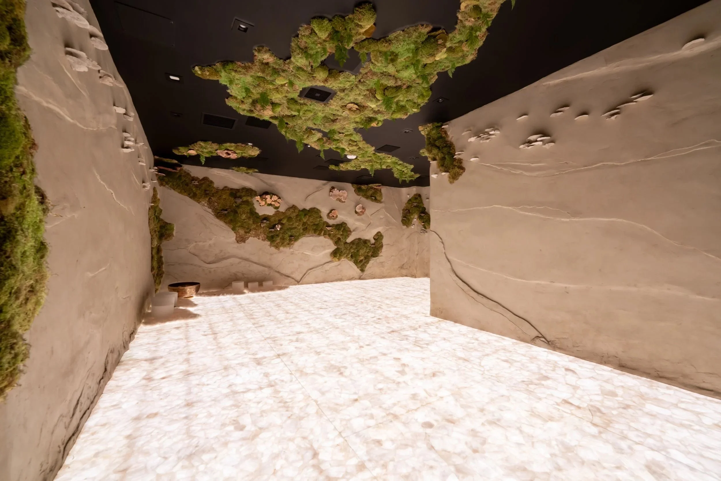 Quantum Wellness Spa- DTLA