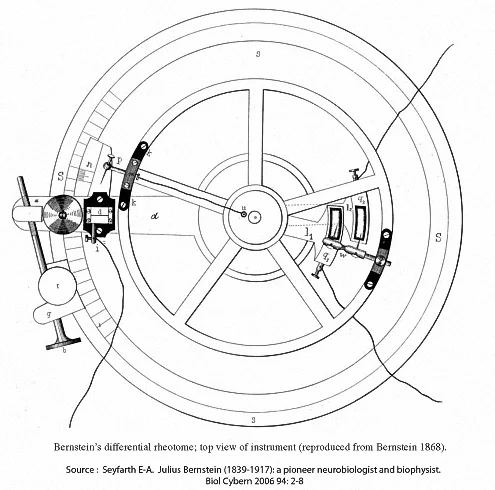 The design of the differentialrheotome used by Bernstein to studythe properties of the action potential. The design hints at the "alethiometer" that feaures in Phillip Pullman's Steam Punk triology "His Dark Materials".