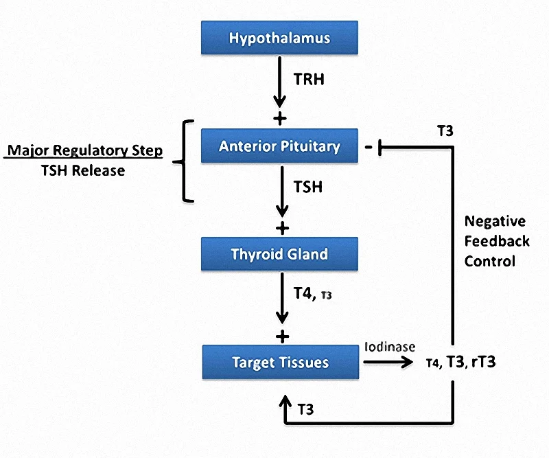 Figure_3