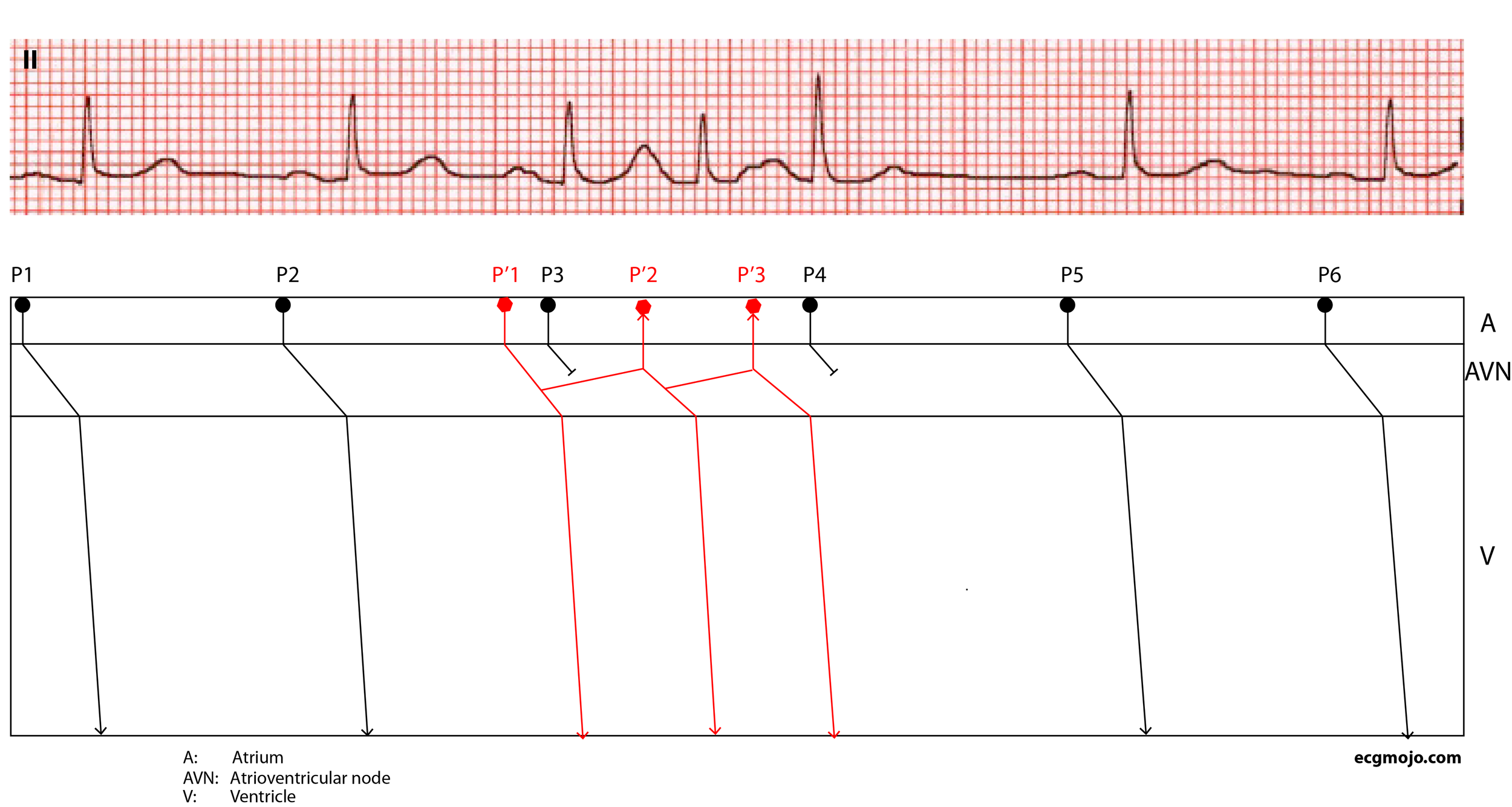Figure 15