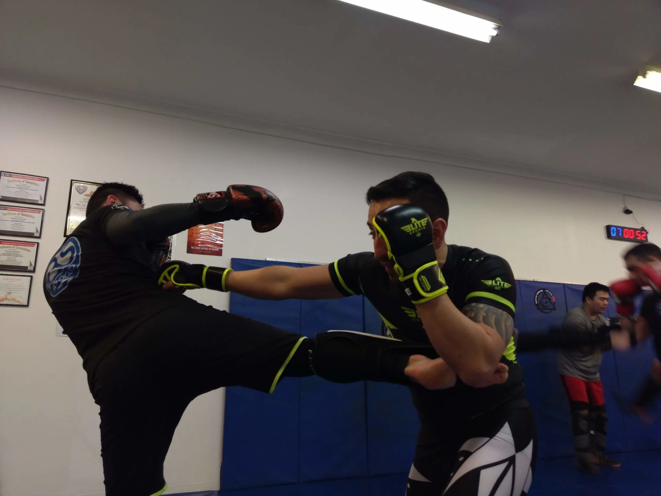 Choosing the Right Gear for your MMA / No Gi Journey