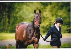 Using the Sleip® Motion Analysis System in Lameness Exams at Oakhurst Equine Veterinary Services