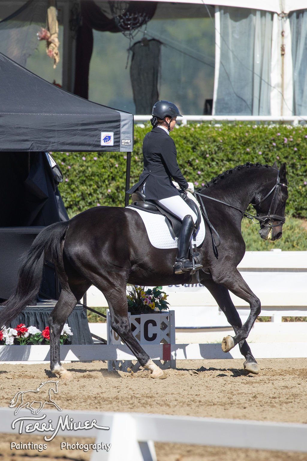 Meet the Oakhurst Equine Veterinary Team - The People Behind Your Horse’s Care