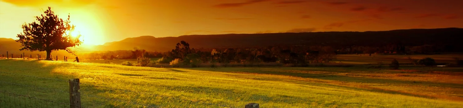A Panoramic Perspective  YARRAMUNDI 1500x350 2.jpg