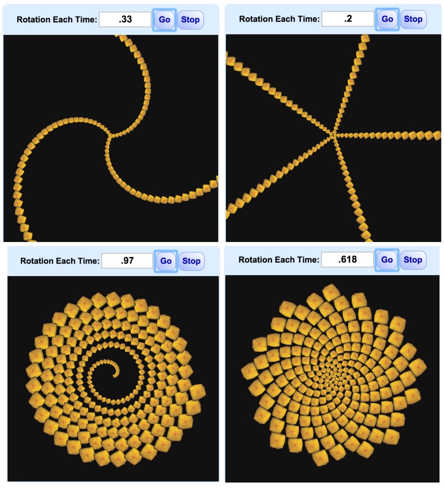Some examples of what flowers would look like with varying rotational ratios
