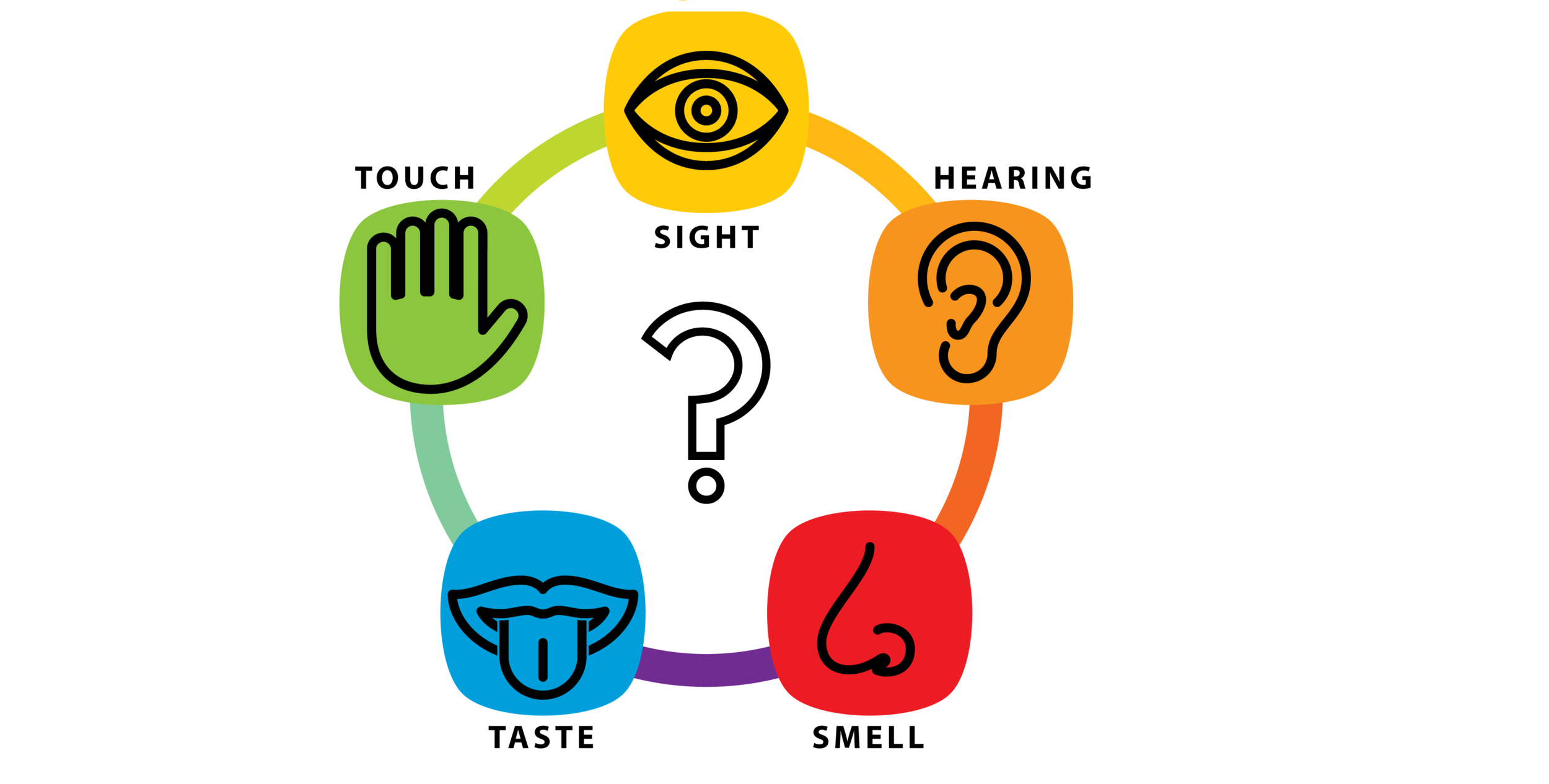 Could i see music. 5 Senses. Five senses for Kids. Five senses логотип. Картинки 5 senses.