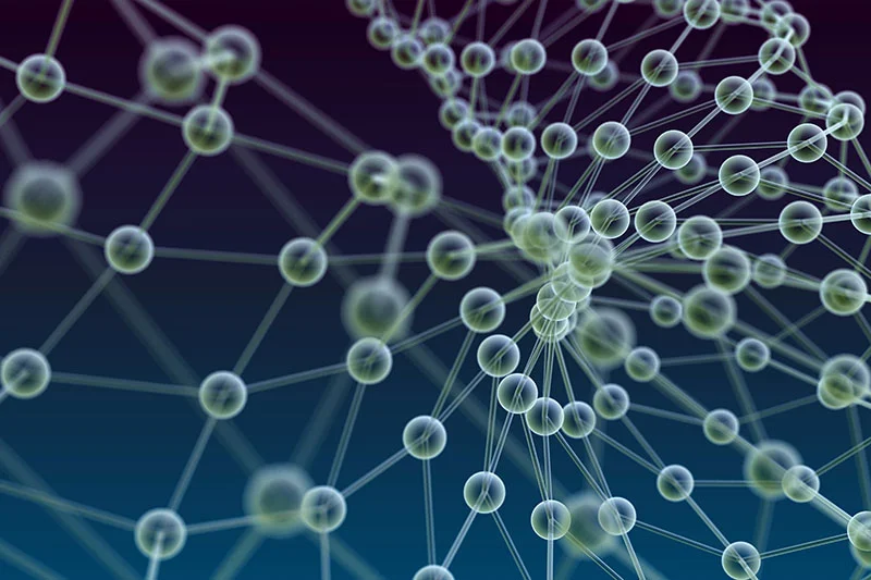 Finding Biodegradable Alternatives for Petroleum-Based Polymers