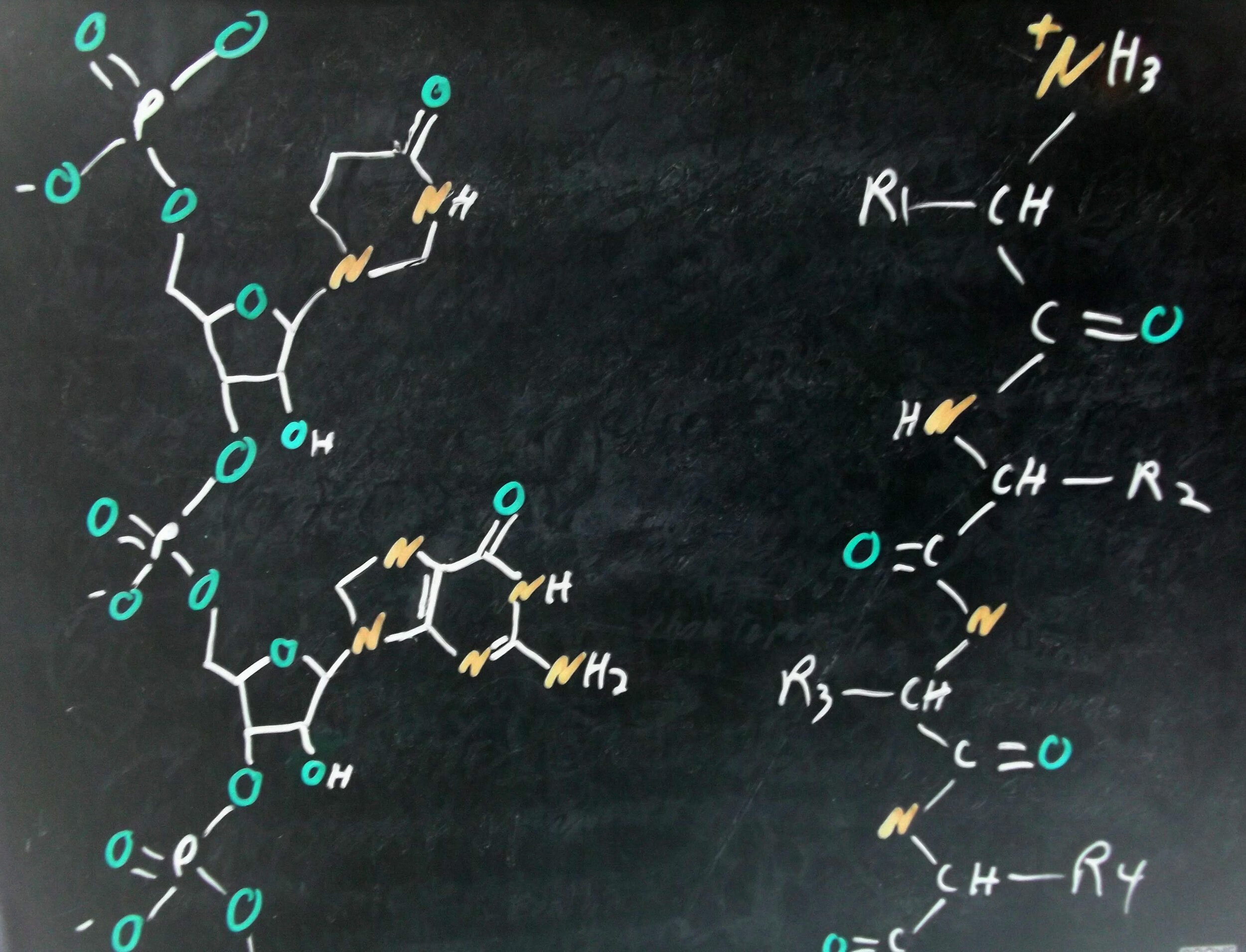 How the Amino Acids Got Their Names