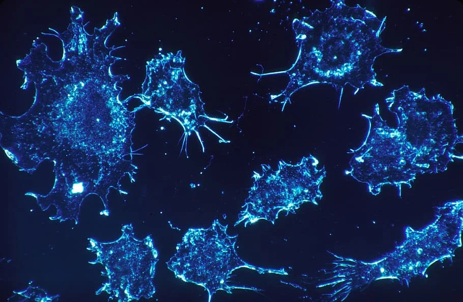 Attacking Cancer: A Golden Opportunity