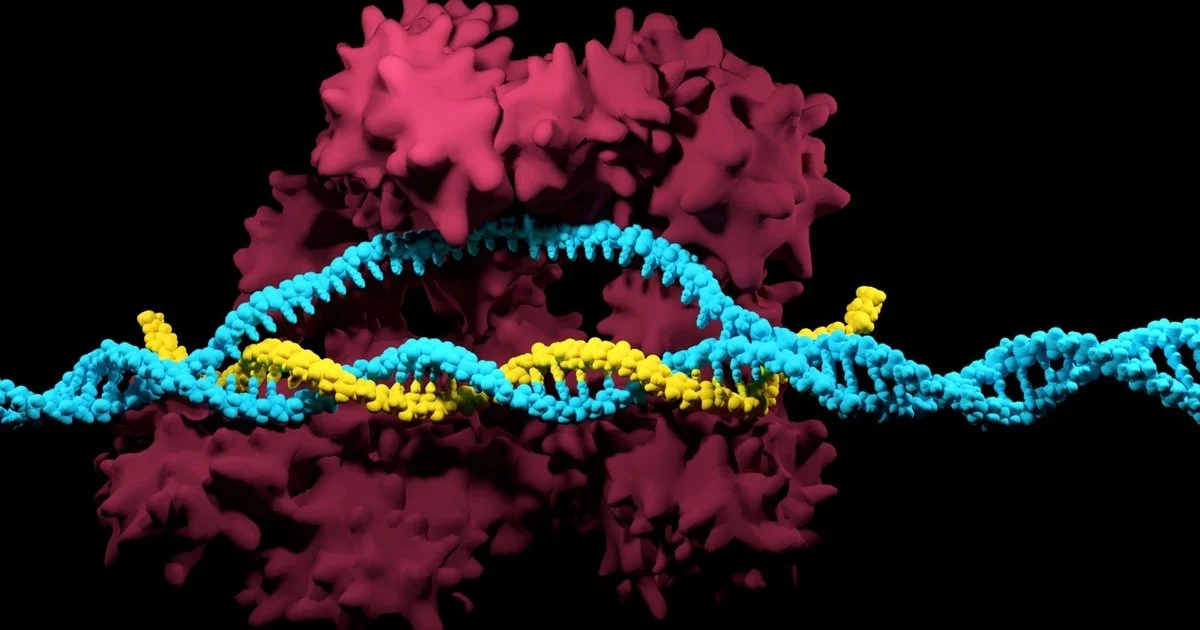 It’s in the Genes: Advances in Genome-Editing Tools