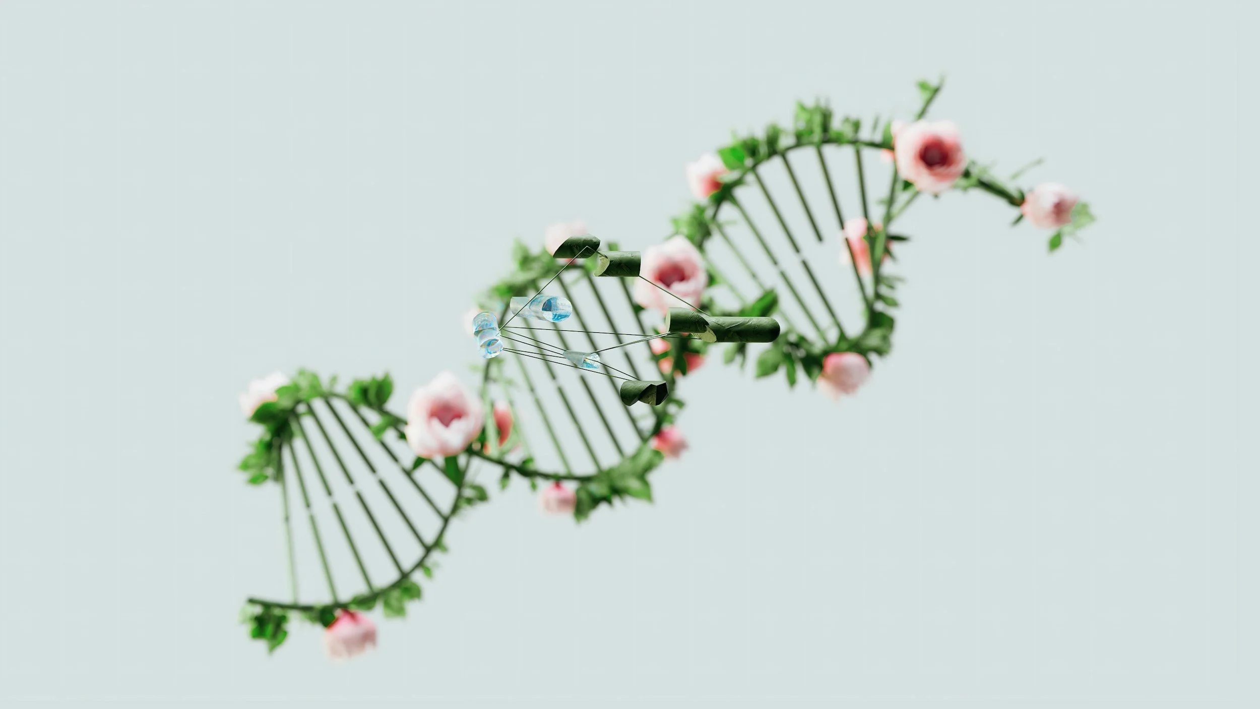 Epigenetics: The Hidden Key To Development