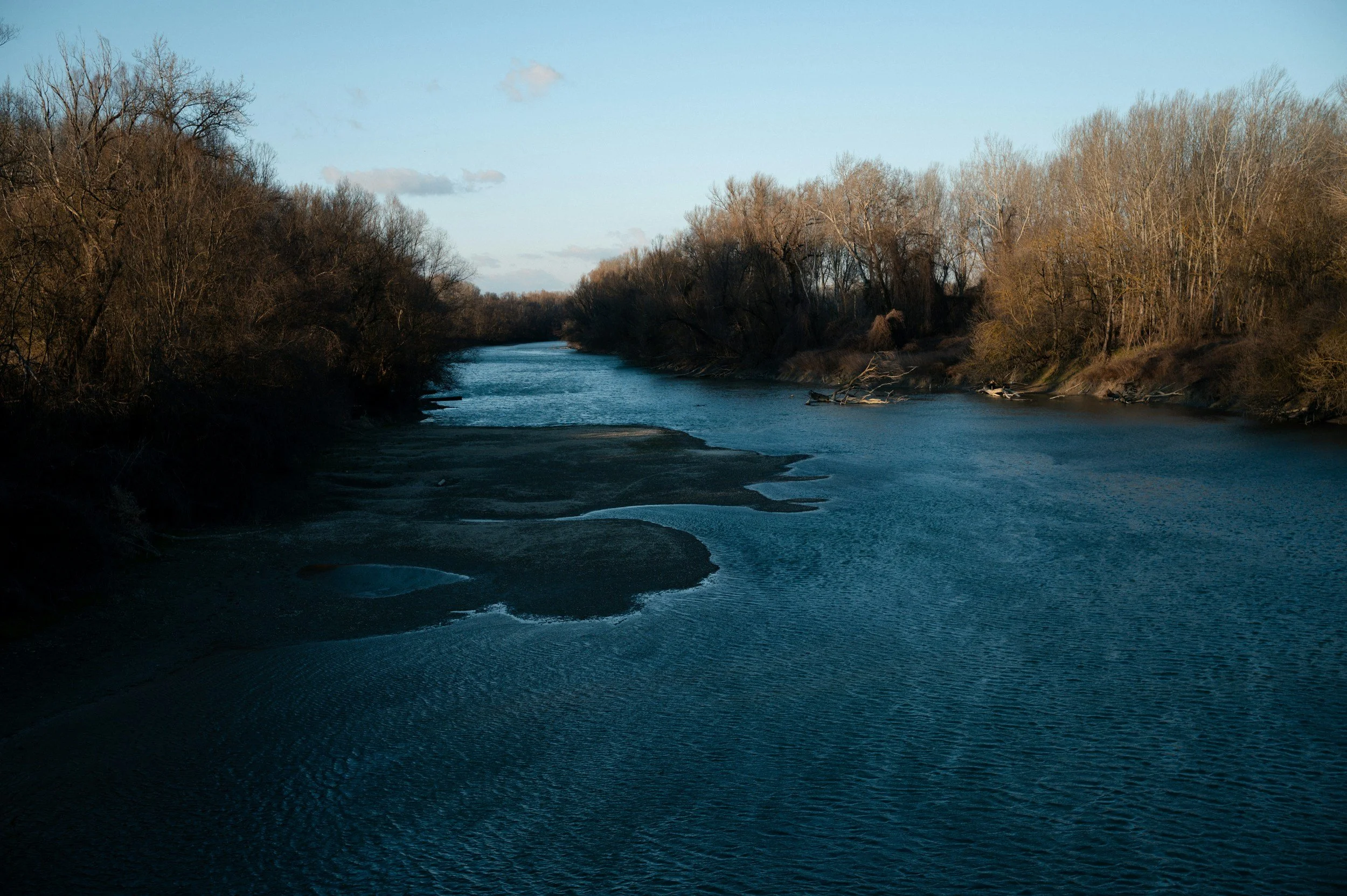 The Flint Water Crisis