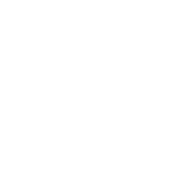 WebDevelopmentIcon.png