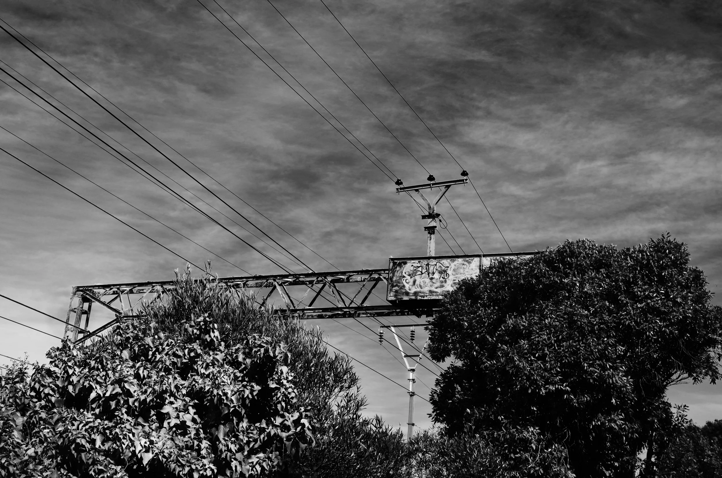 DSC_0064 copy.jpg