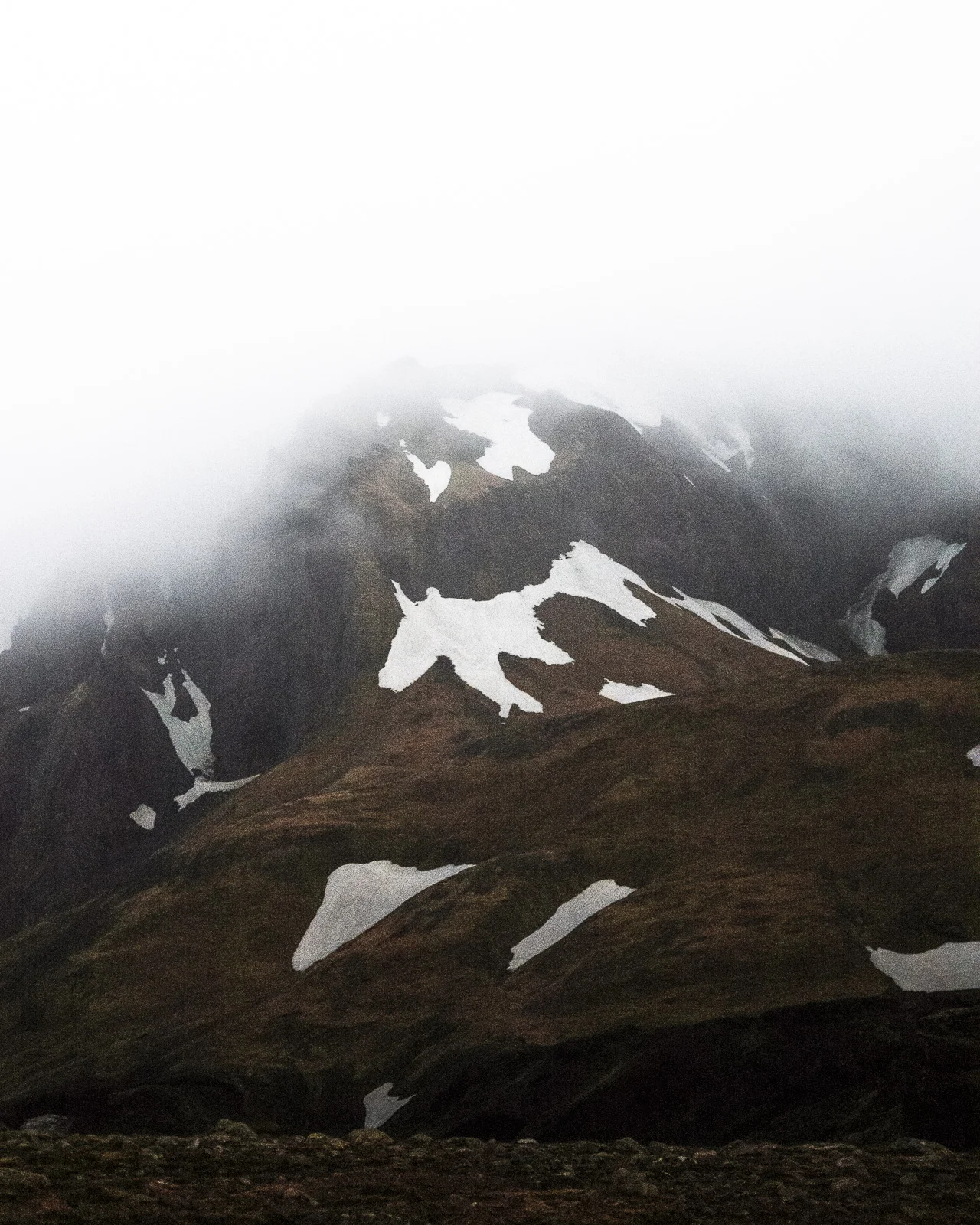 fog-5320.jpg
