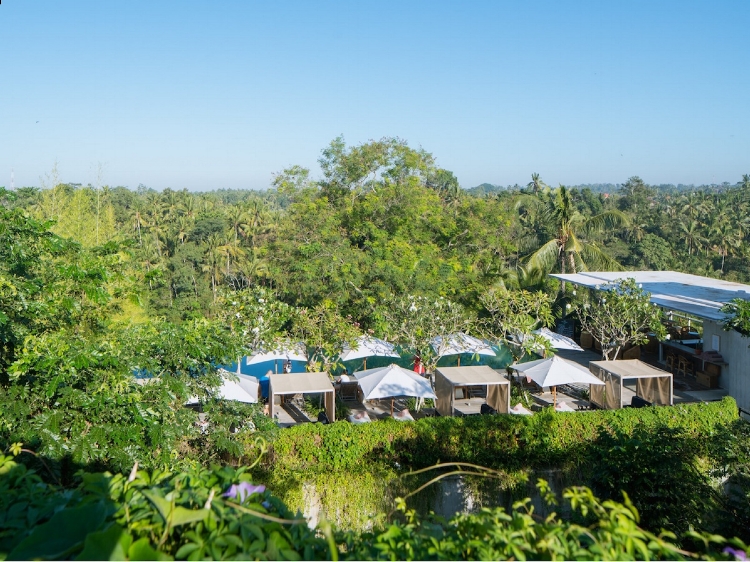 Ubud Jungle View.jpg