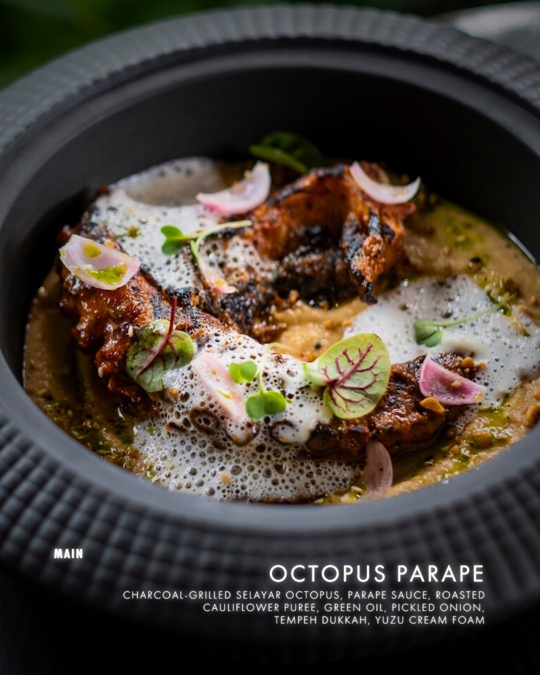 octopus parape by copper ubud