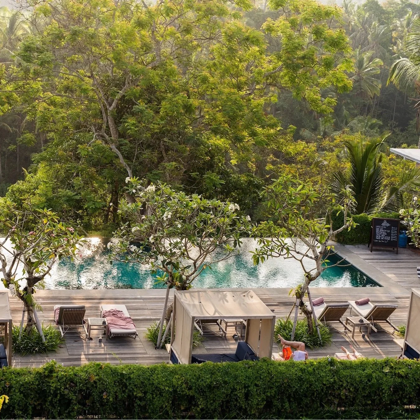 Ubud Named One of the World’s Best Cities: Here’s Why It Continues to Inspire Travelers