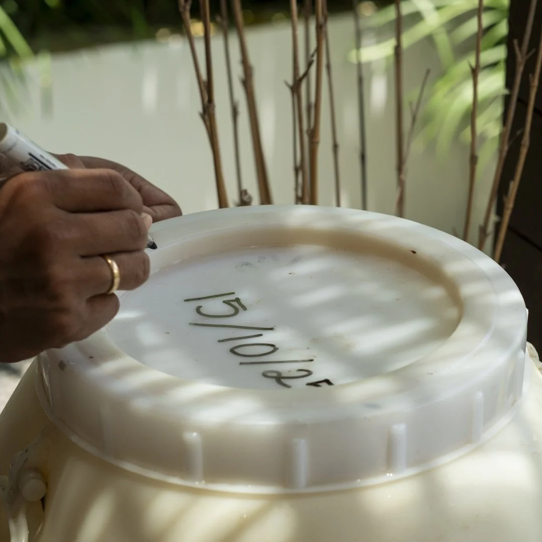 A hand writing on a white plastic tank with a black marker. The tank has handwritten text, '15/10/25'. Some green plants and bamboo sticks are in the background.