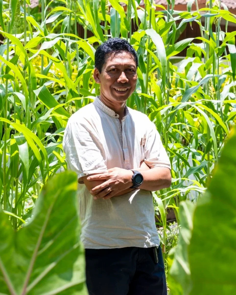A man standing among tall green corn plants, smiling with arms crossed, wearing a light-colored shirt and a black smartwatch.