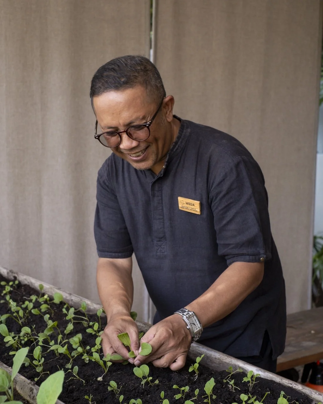 A man with glasses and a name tag is smiling and tending to green seedlings in a garden bed.