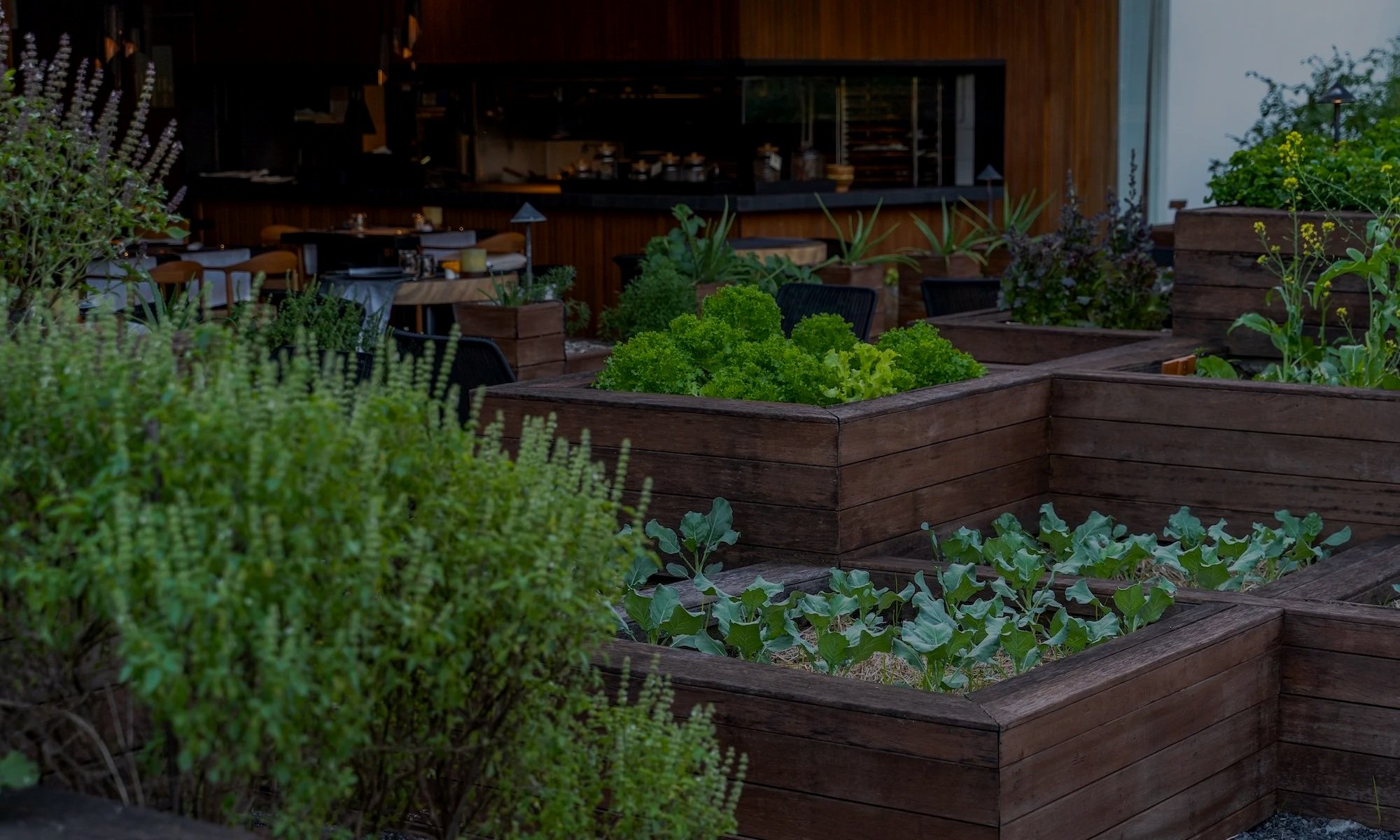 Bisma Eight Ubud organic farm