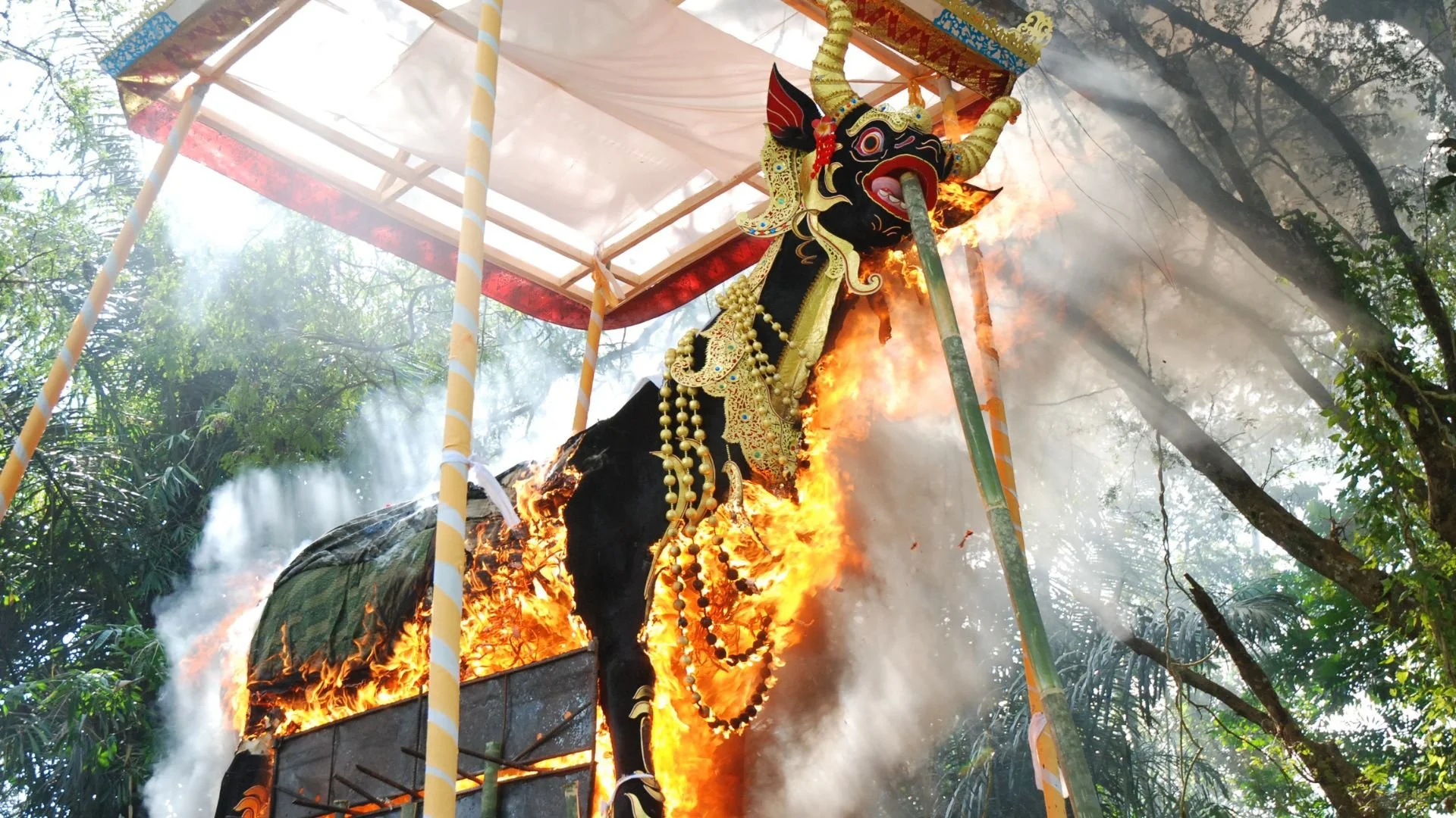The Sacred Balinese Cremation Ceremony Ngaben