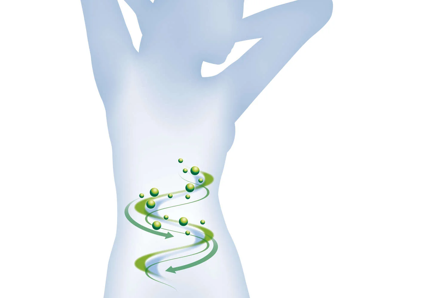 Unser Darm: die Wiege des Immunsystems