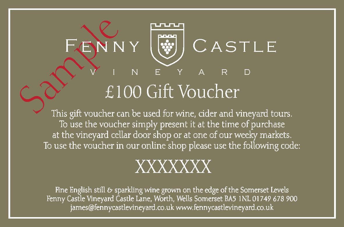 Fenny Castle Gift Voucher £100.jpg