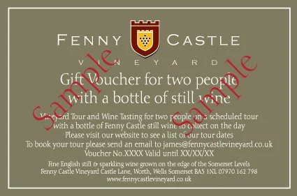 Fenny-Castle-Tour-Card.jpg