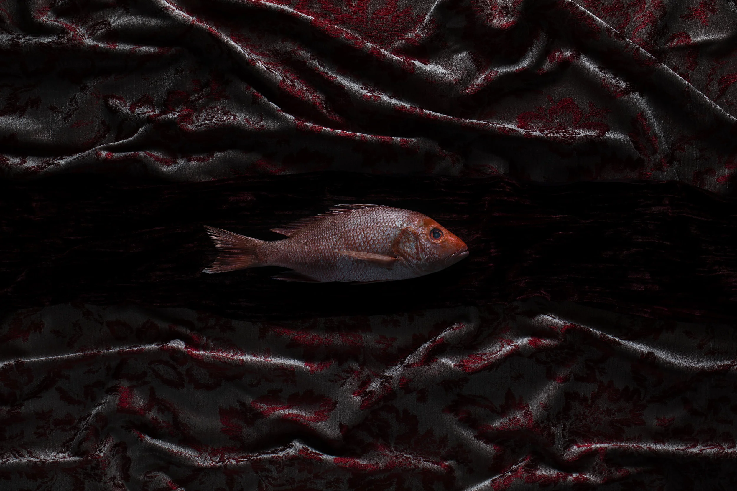 RED IN THE TUNEL.jpg