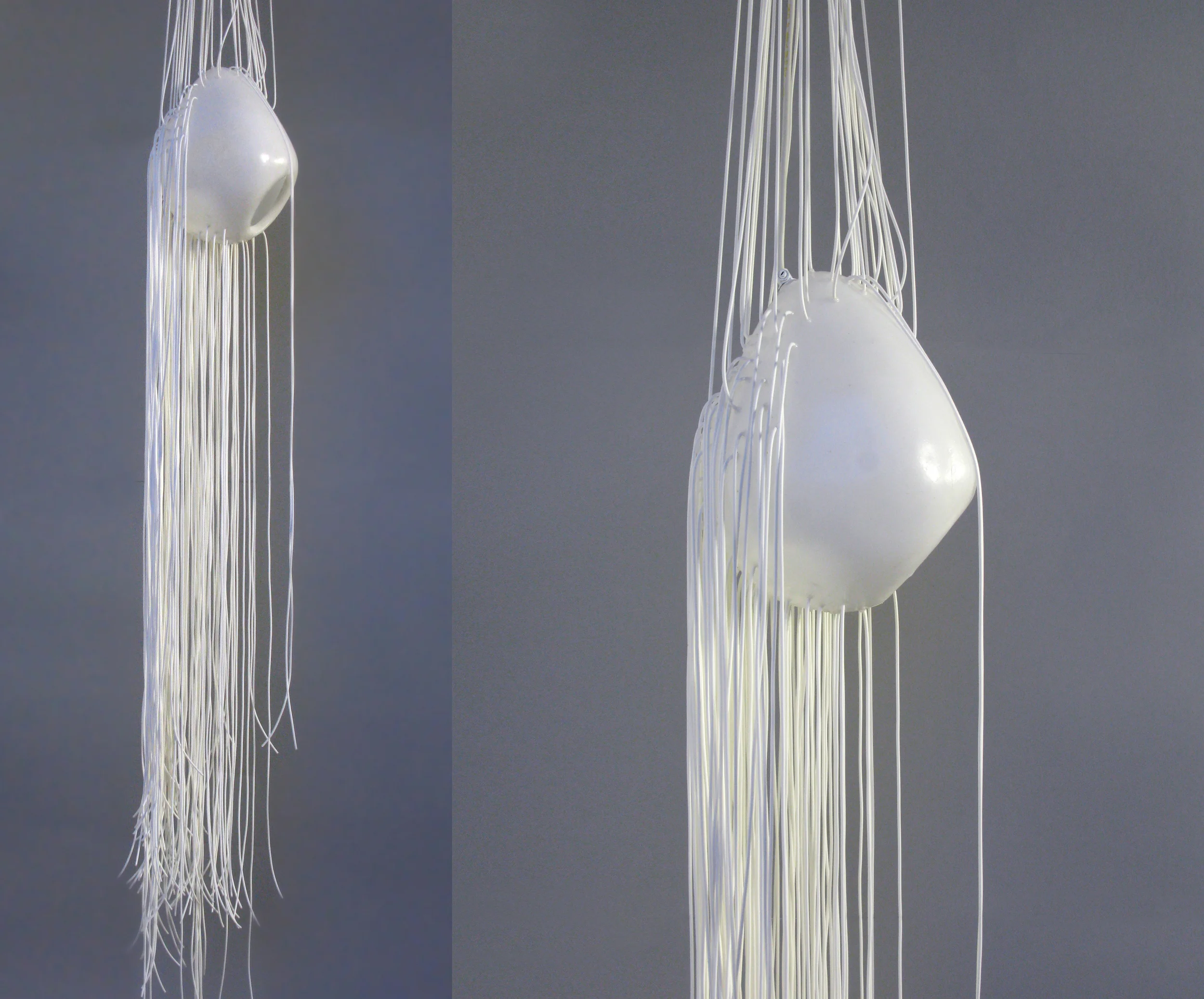 Jungle Light Eelko Moorer.jpg