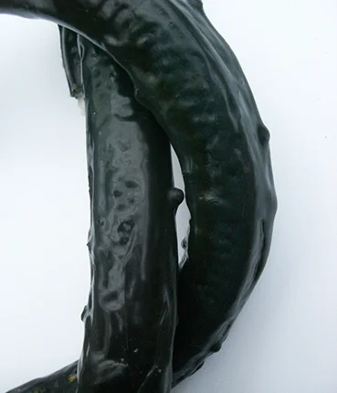 Jungle vine thumbnail.jpg