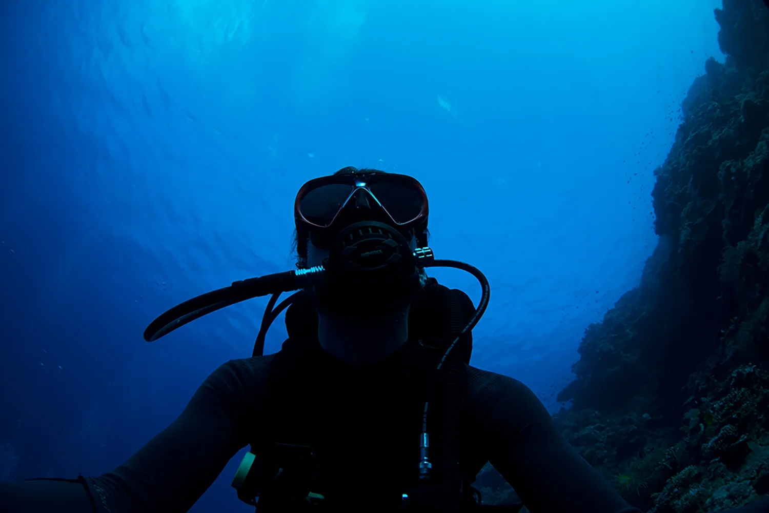 joe-bourne-underwater.jpg