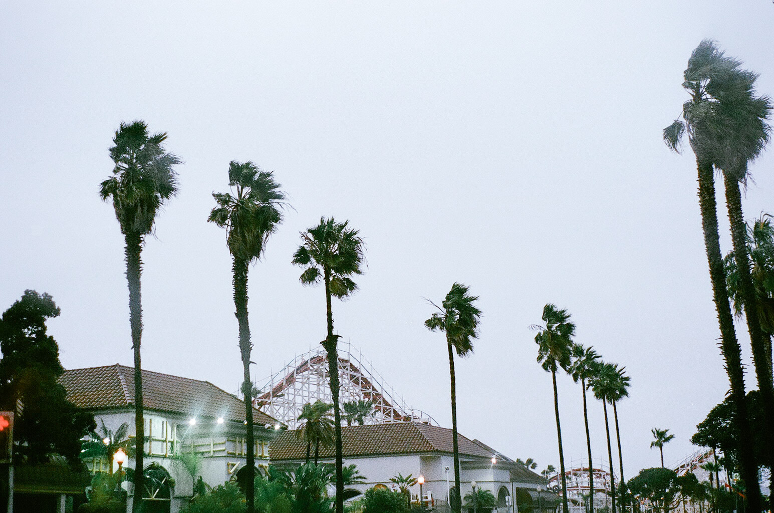The Mission Beach boardwalk is eerily deserted in a storm; the few of us that dare to venture onto the beach are quickly asked--unless we want to be struck by lightening--to leave by a megaphoned lifeguard.