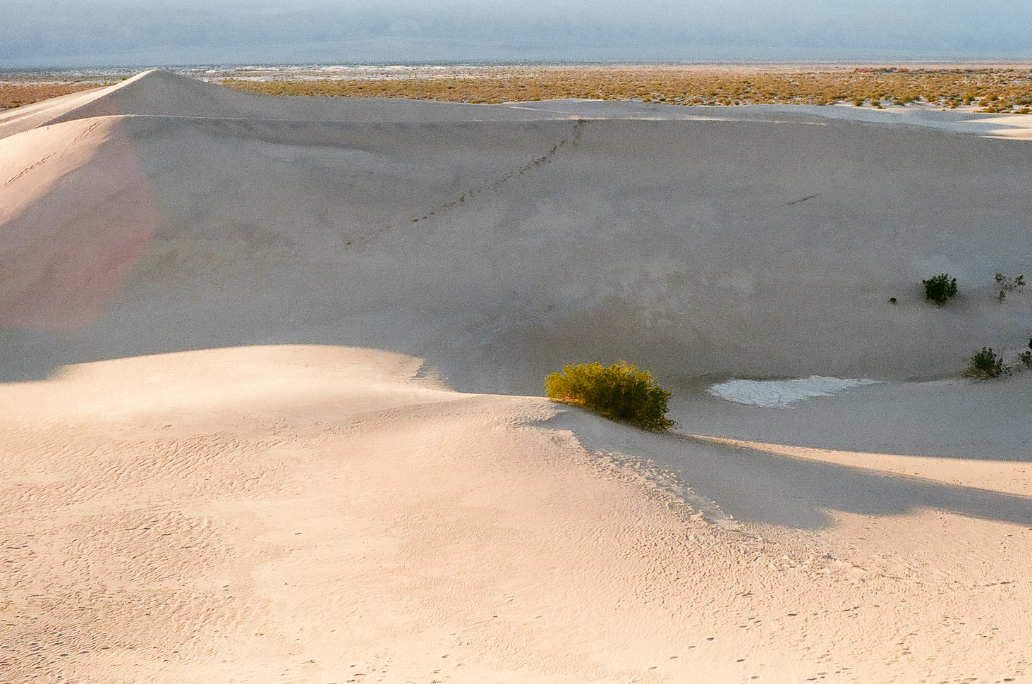 In Death Valley, the sand dunes from afar almost look made out of concrete. With a relentless wind that sweeps away trails every day, we wander, uninhibited, wherever we please.