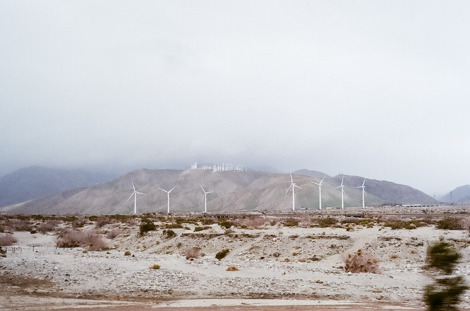 All throughout California, towering, alien giants sweep us through their homes.
