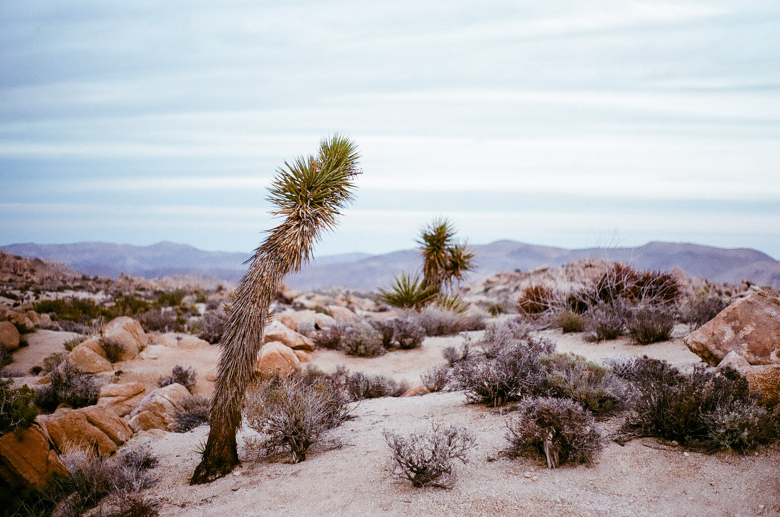 Bad weather turns our planned three nights in Joshua Tree turned into one, but we are still lucky enough to catch a purple fading sunset in this magical place.