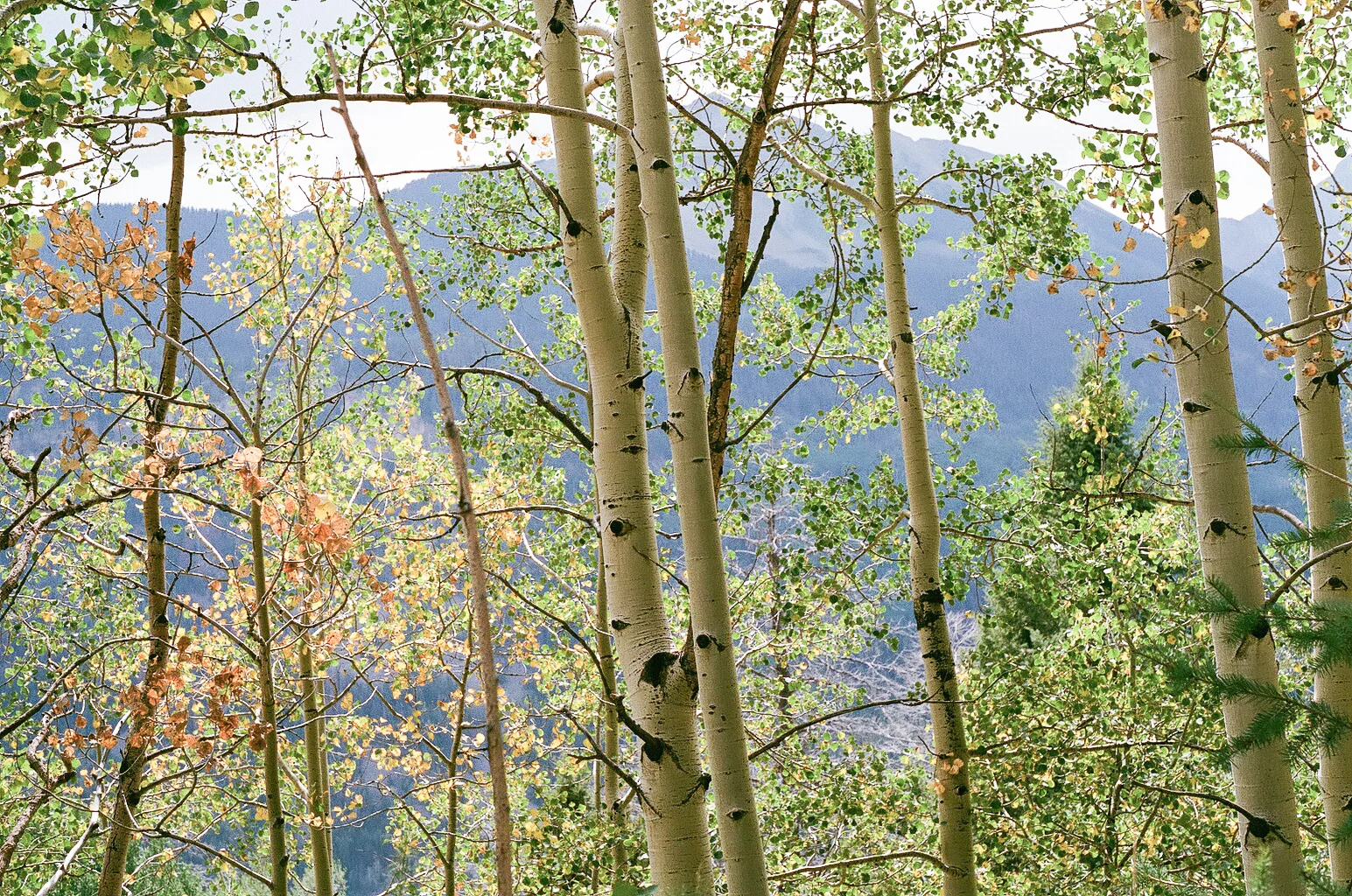 telluride2017-19.jpg