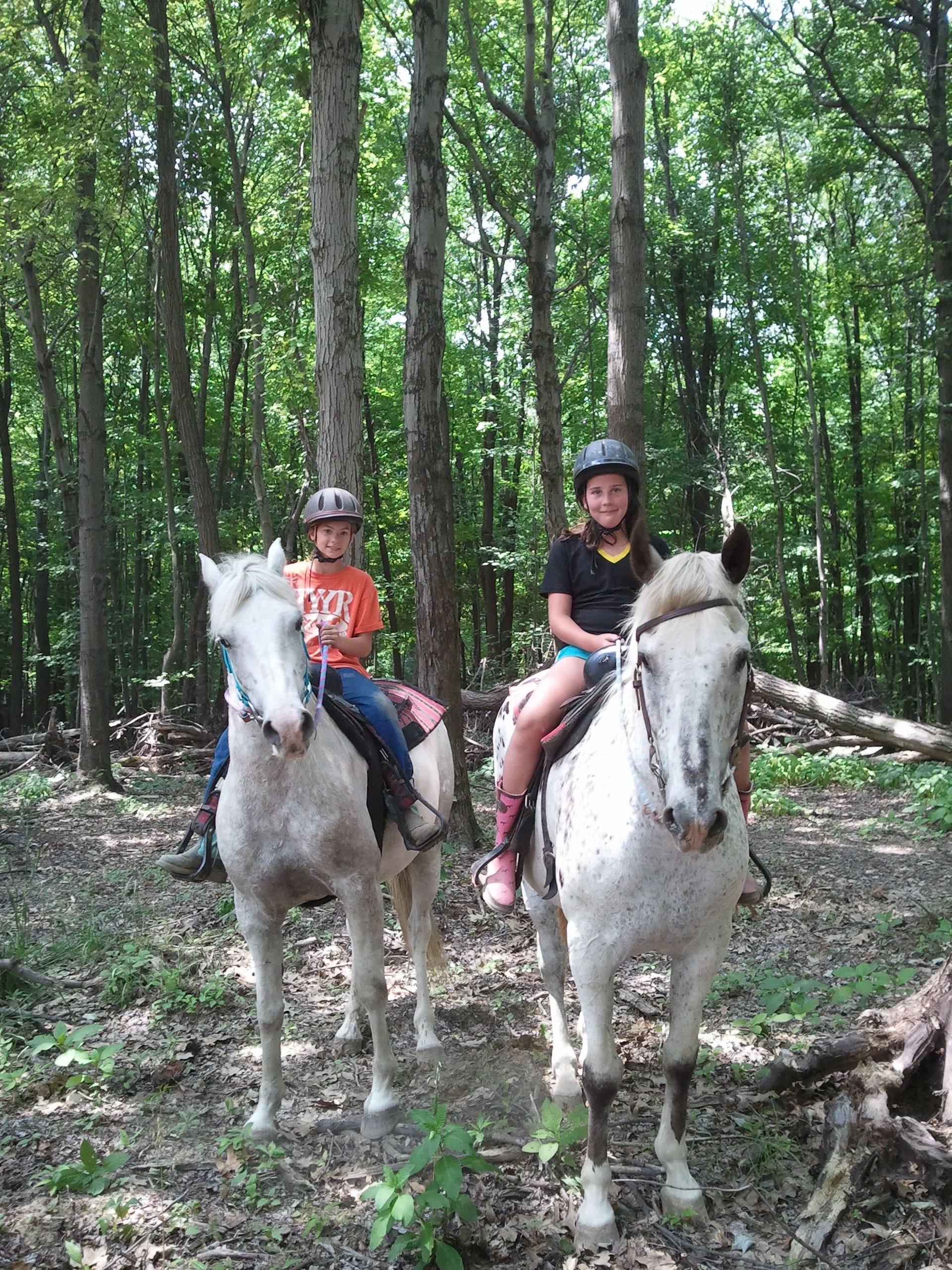 About Our Program — Ready Yourselves Youth Ranch