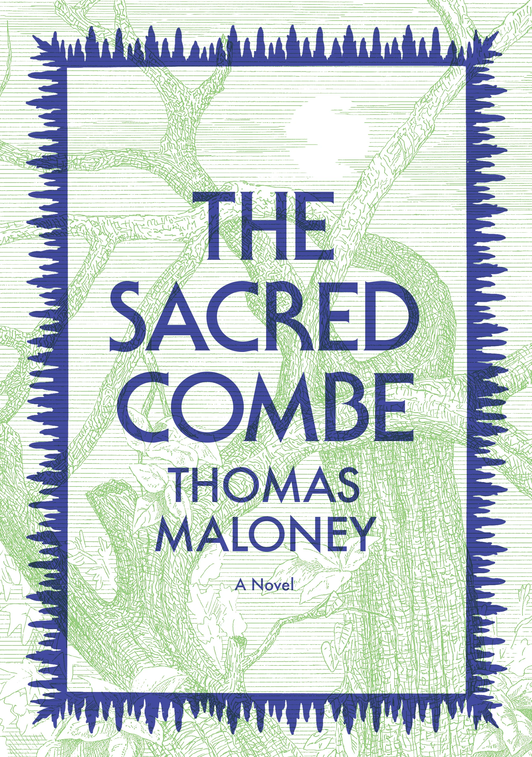 bt 16 the sacred combe.jpg