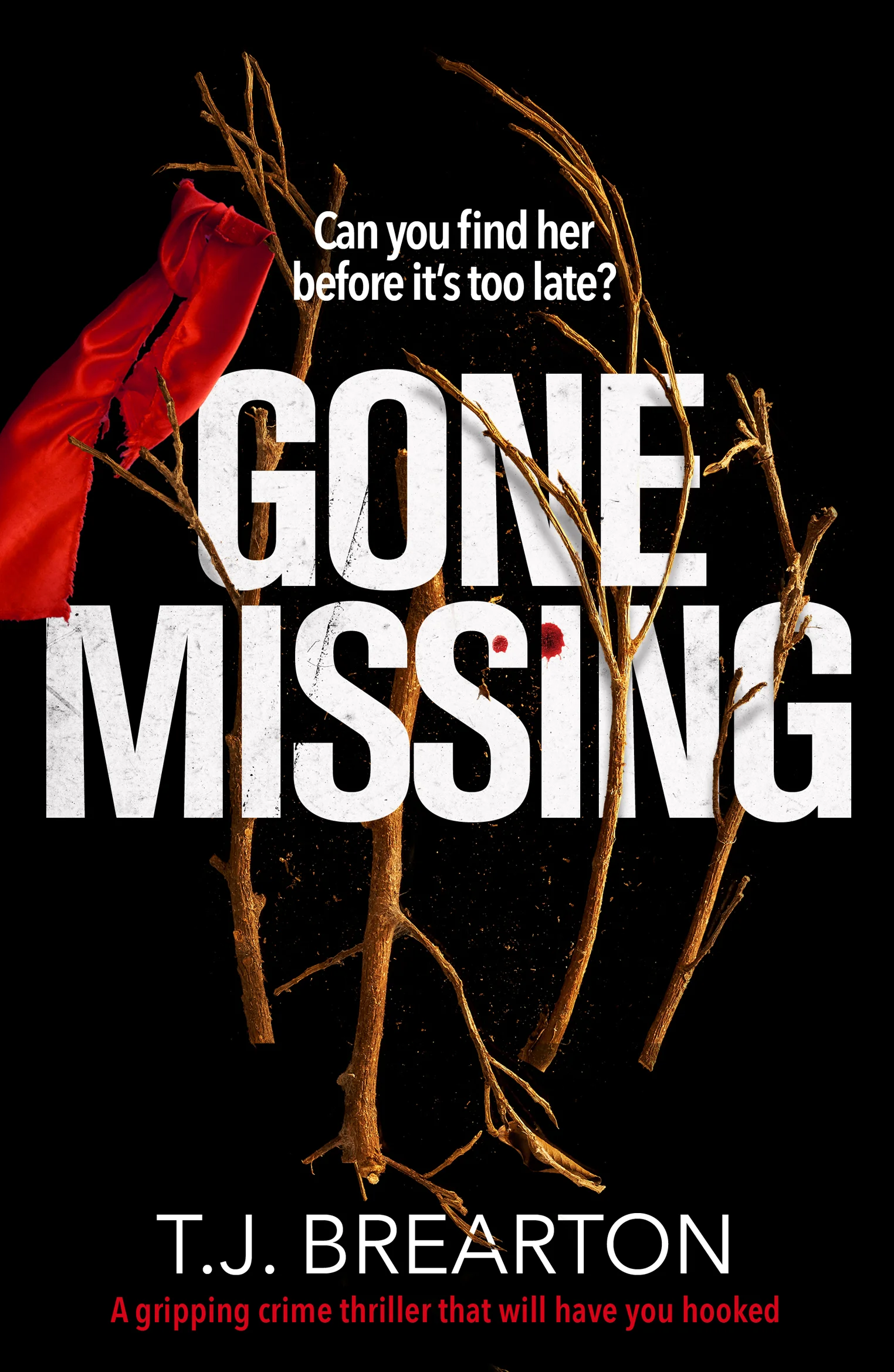 GONE MISSING.jpg