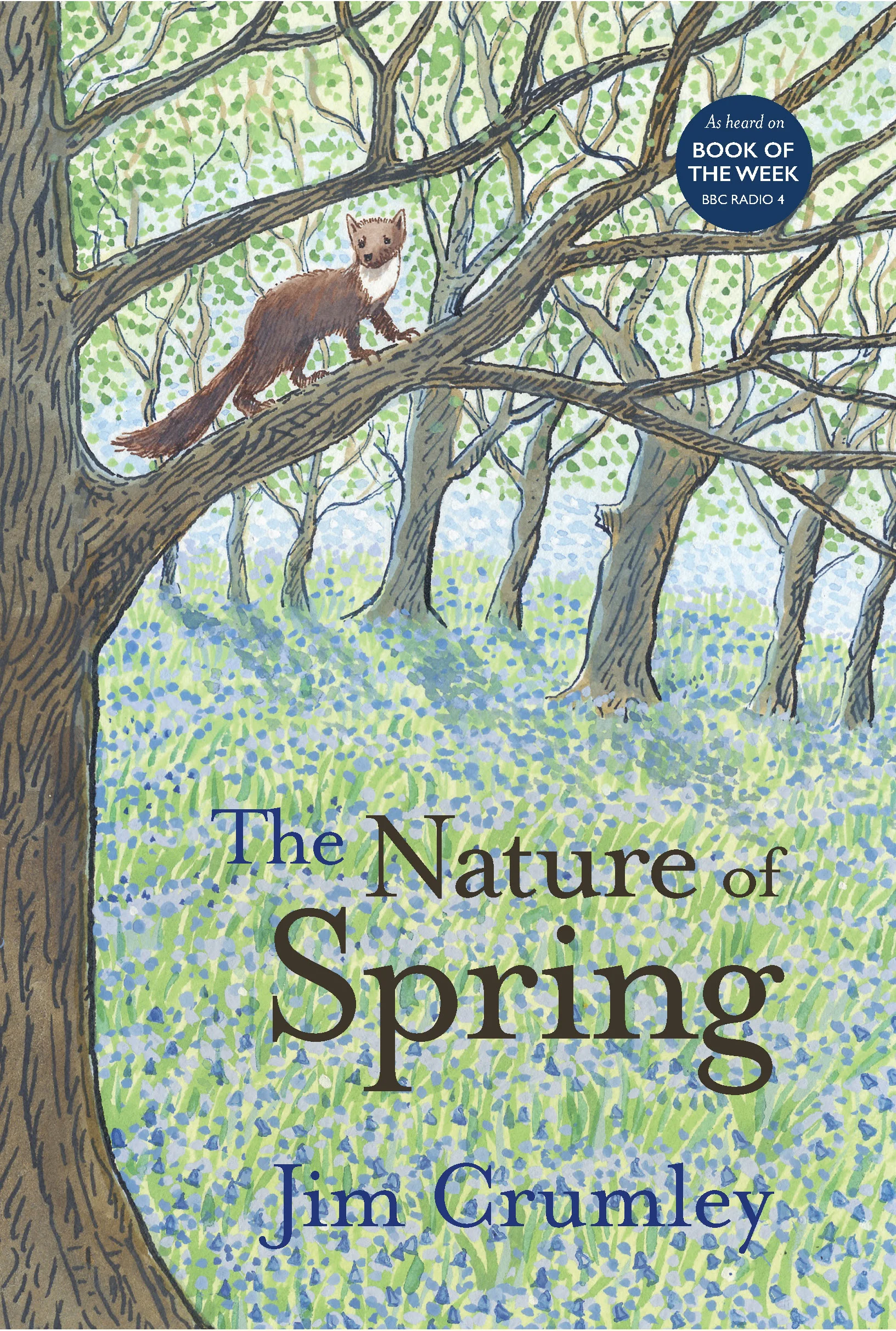 NoSp_Cover.jpg