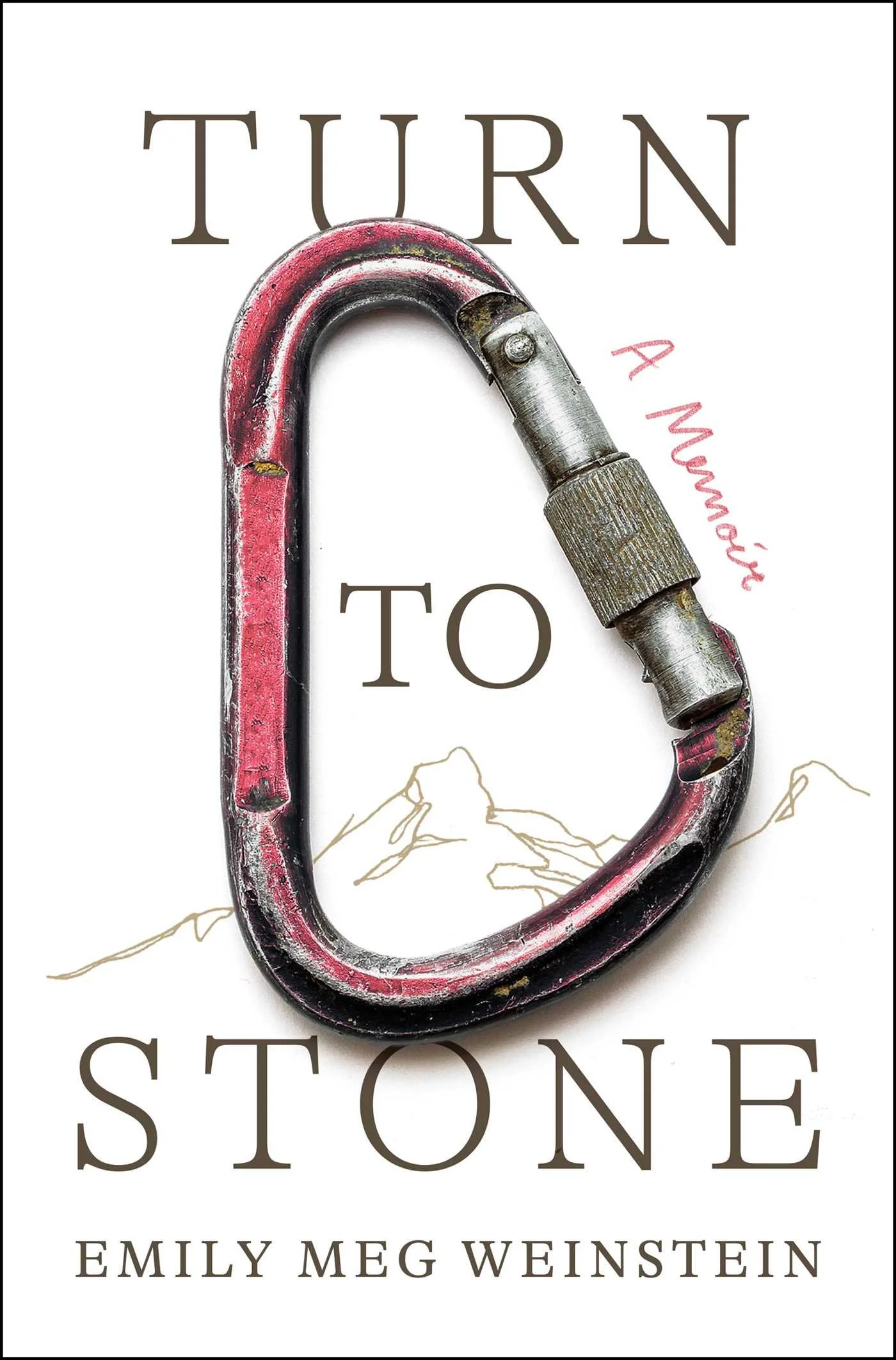turn-to-stone-9781668047859_hr.jpg