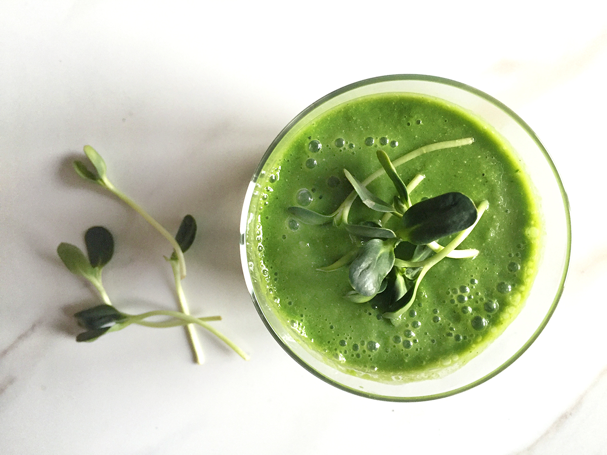 Sunflower Sprout Smoothie — Alia Dalal