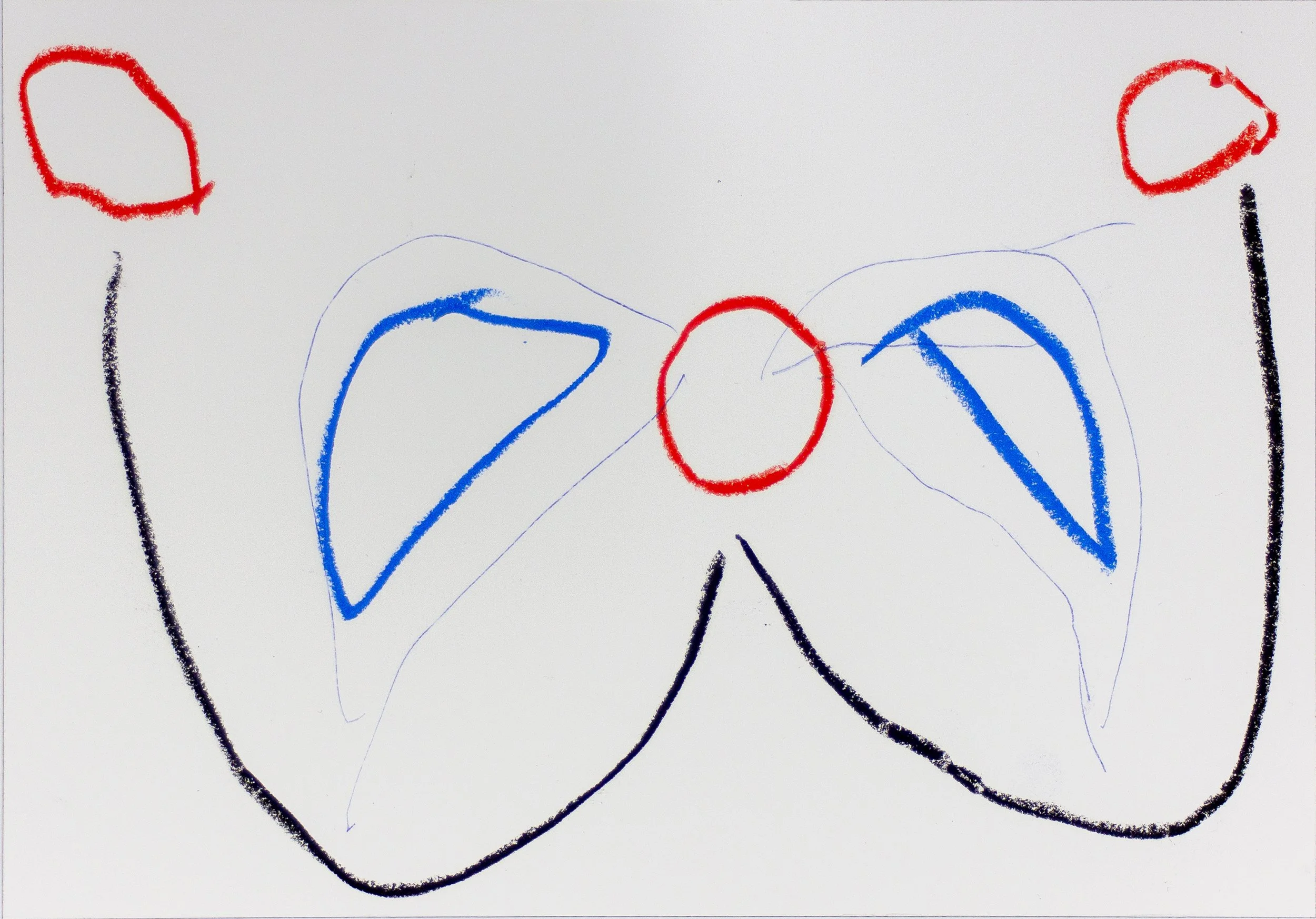 muliti-cerse preconception digressions.jpg