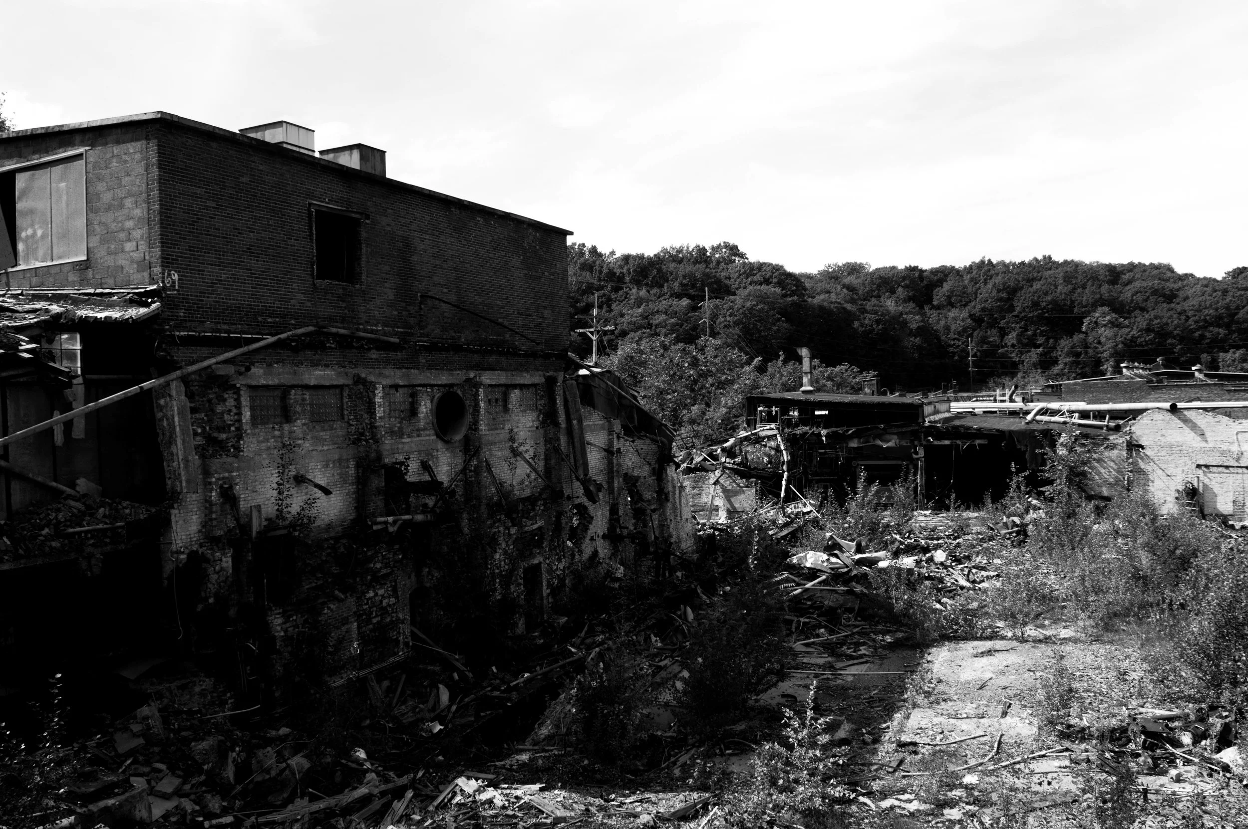 DSC_0188.jpg
