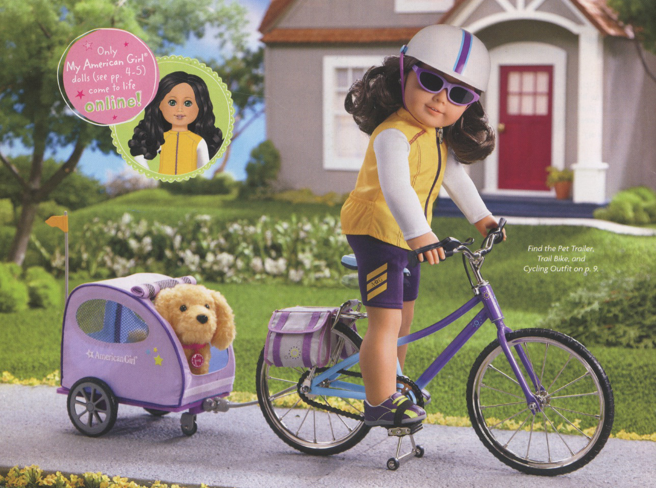 Doll Bike & Pet Carrier